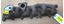 Picture of Mercedes om606 exhaust manifold 6061420001 sold